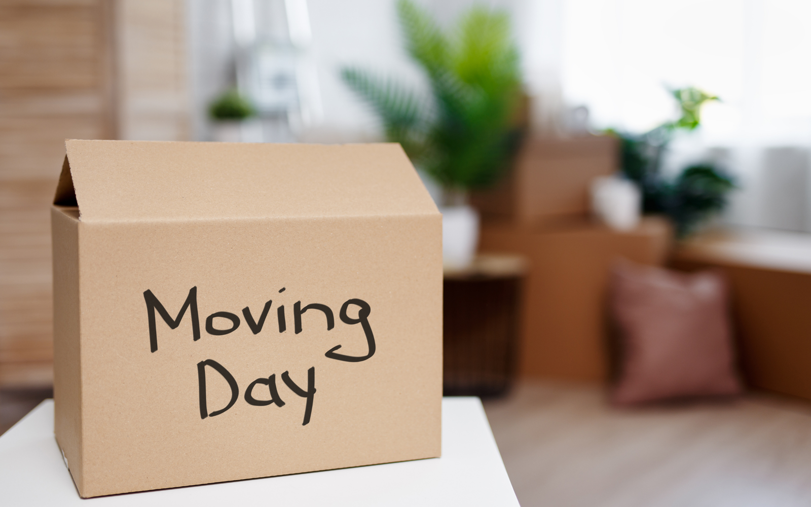 Box on table that has "Moving Day" written on it