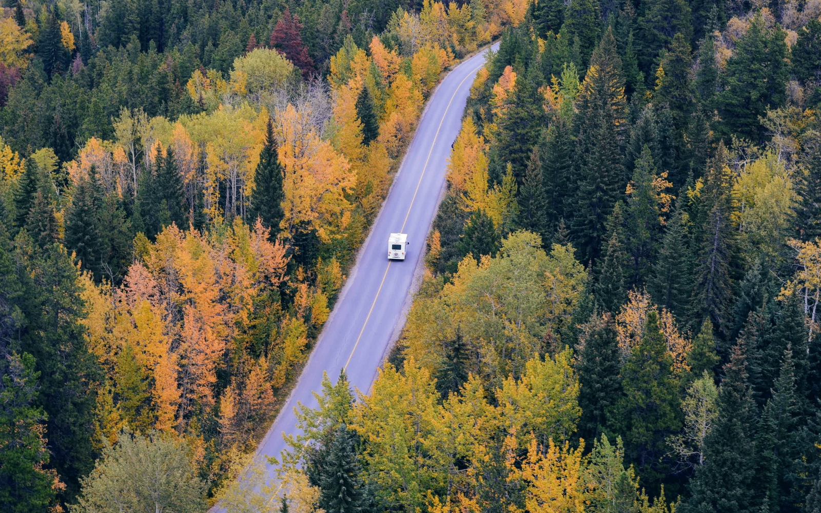 arial view of an RV driving down a road between tall trees
