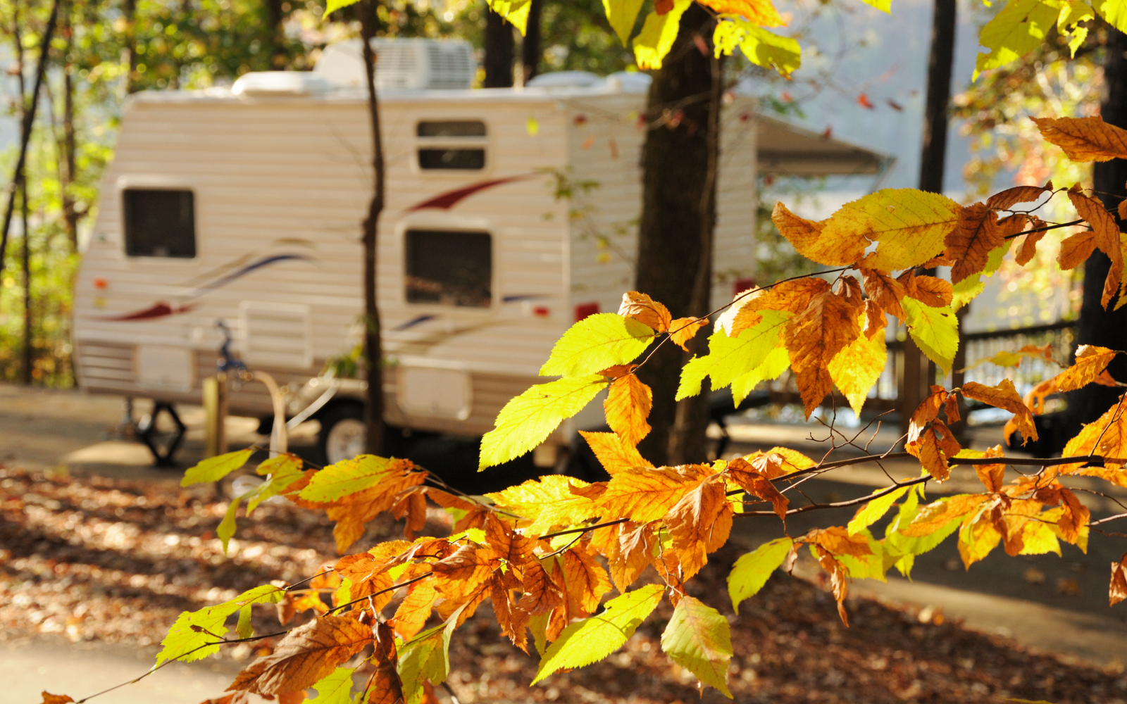 RV / Camper in the background with fall leaves in the foreground