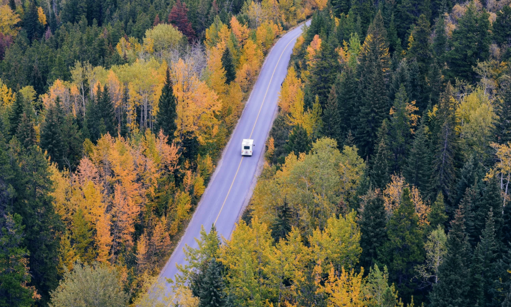 arial view of an RV driving down a road between tall trees